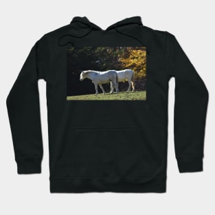 Wild Horses Hoodie